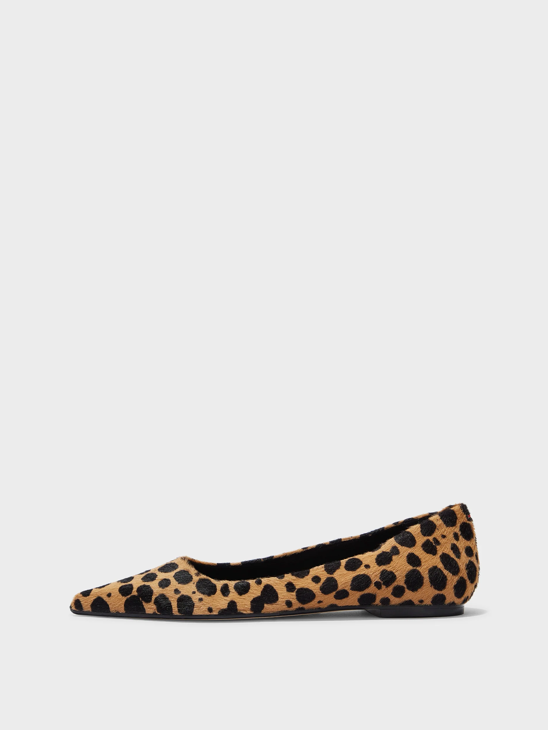 Cassy Leopard Ballet Flats