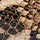Nala T-Bar Sandals - Image 7